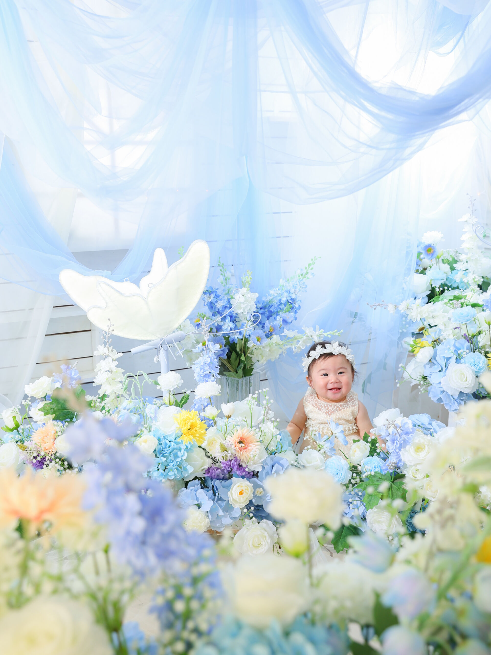 長久手店のちょうちょのお花畑🦋